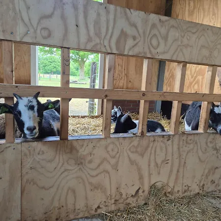 Klein Koestapel Bed & Breakfast