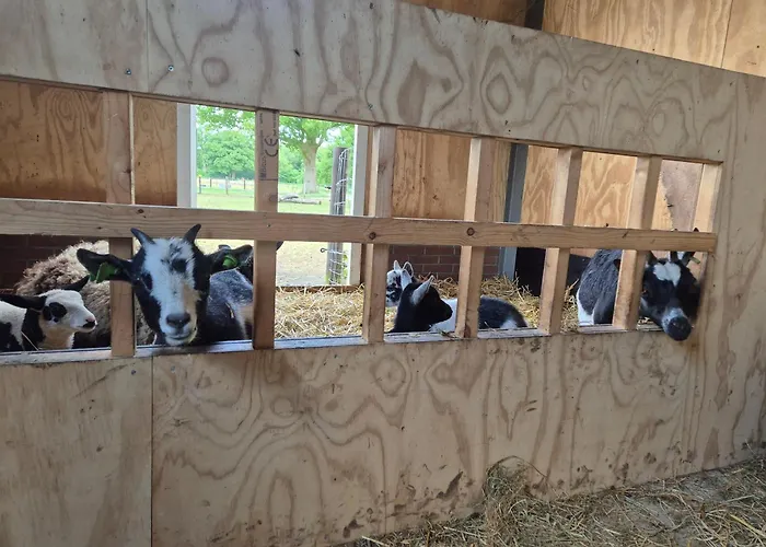 Klein Koestapel فندق مبيت وإفطار